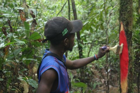 Pemberian tanda batas